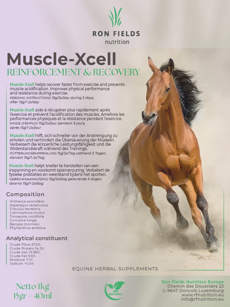 Muscle-Xcell