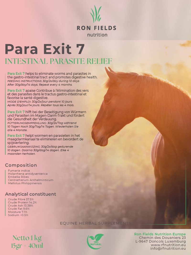 Para Exit 7