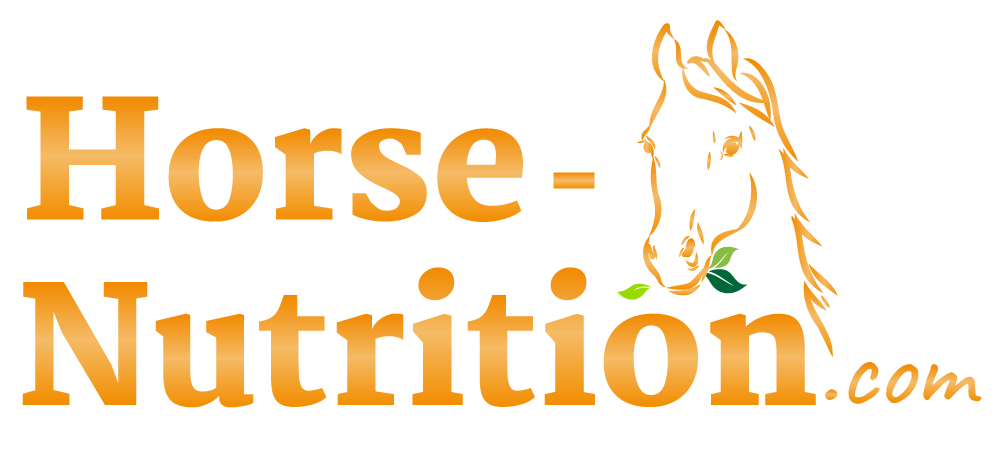 Paard-voeding-sinaasappel