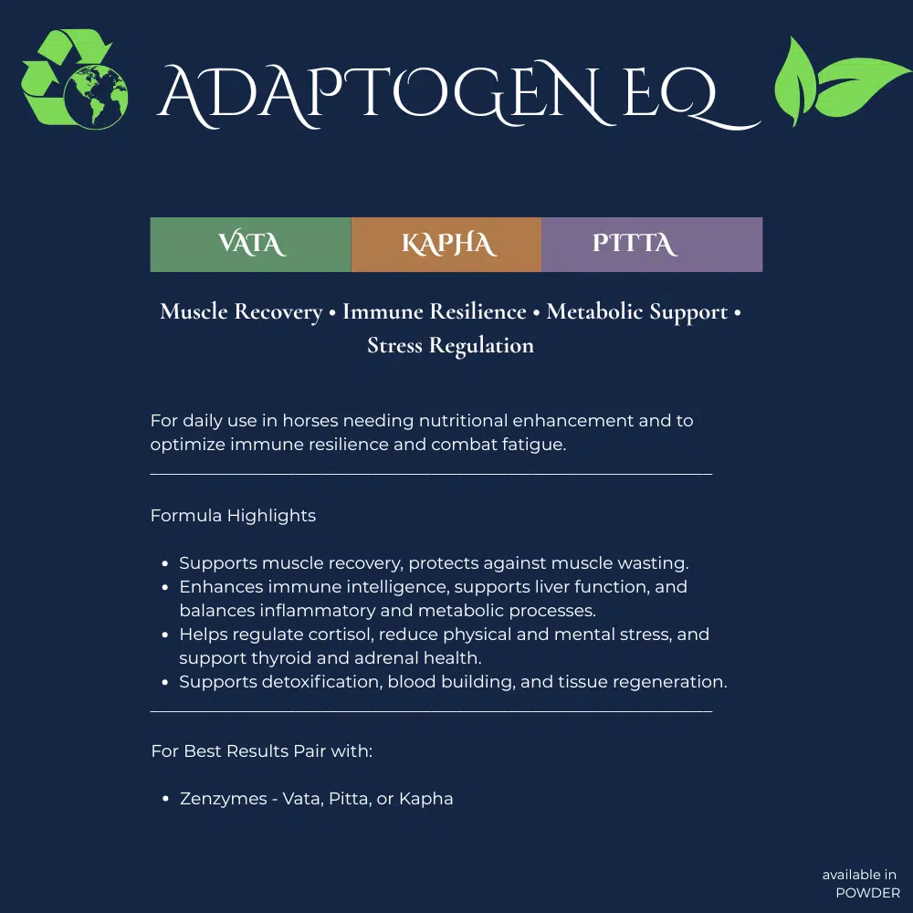 Neachai Adaptogen EQ – Image 2