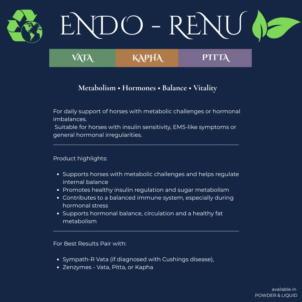 Neachai Endo-Renu - Afbeelding 2