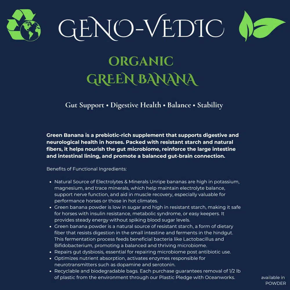 Neachai Organic GREEN BANANA - Afbeelding 3