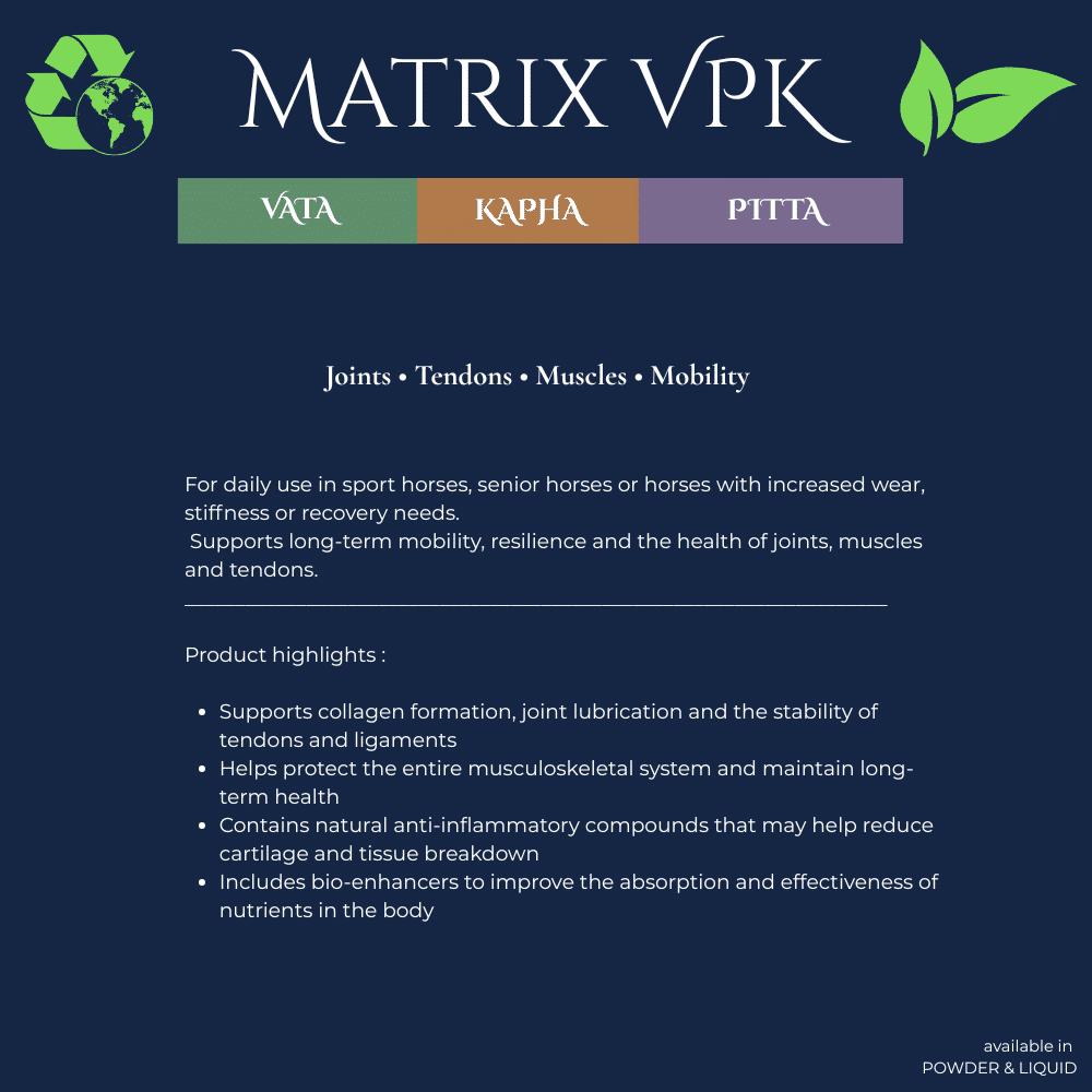 Neachai Matrix VPK – Bild 2