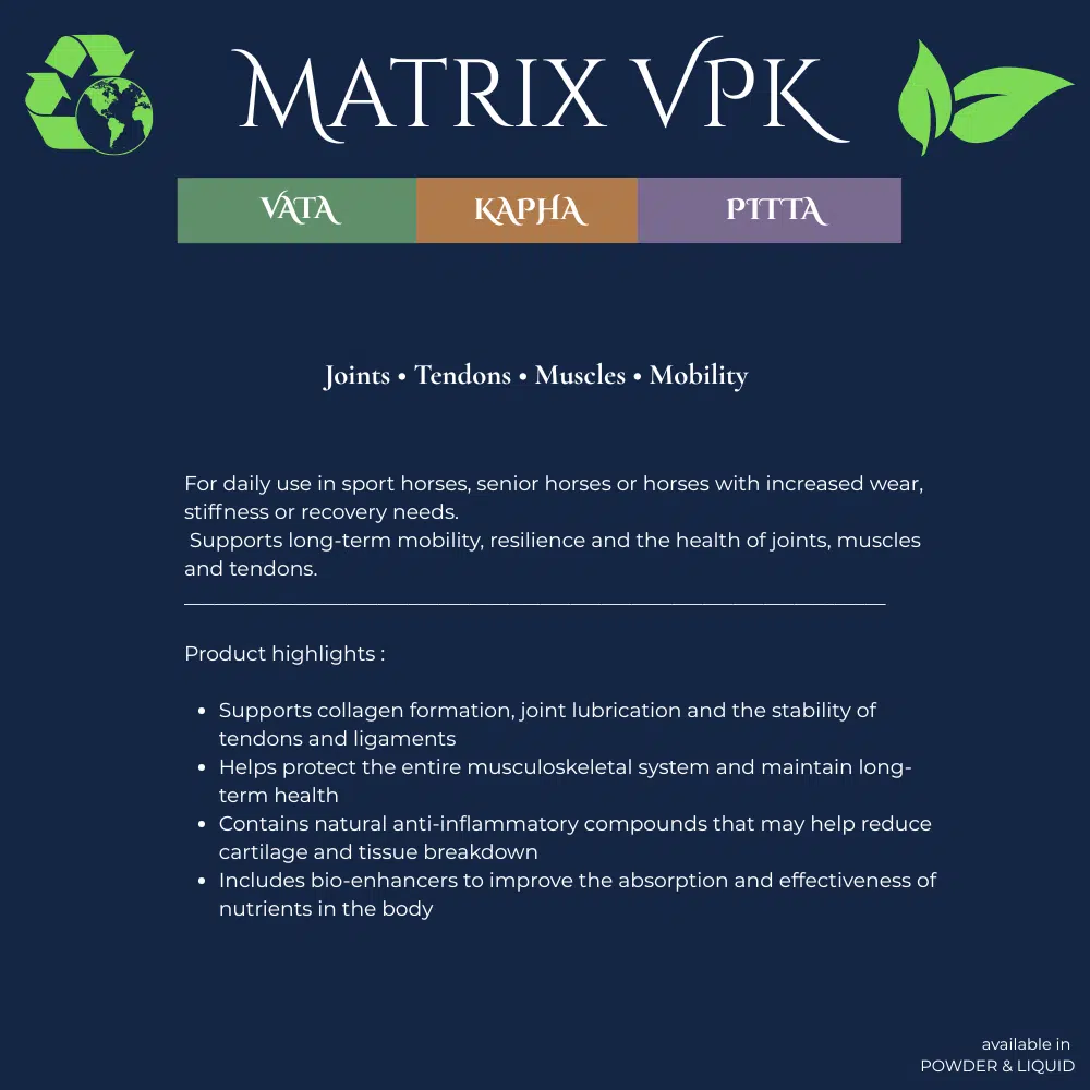 Neachai Matrix VPK – Image 2