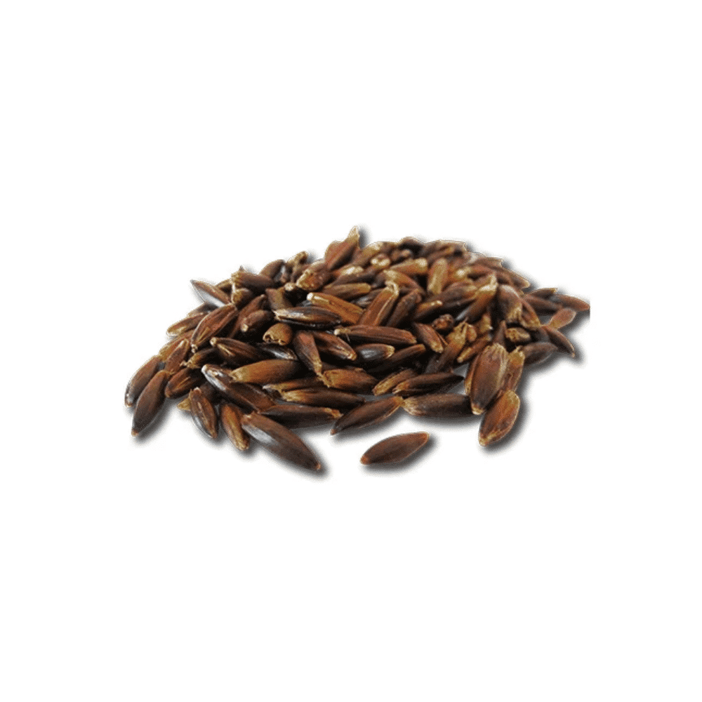 Pavo Black Oats | Gereinigter Schwarzhafer in Premium-Qualität – Bild 2
