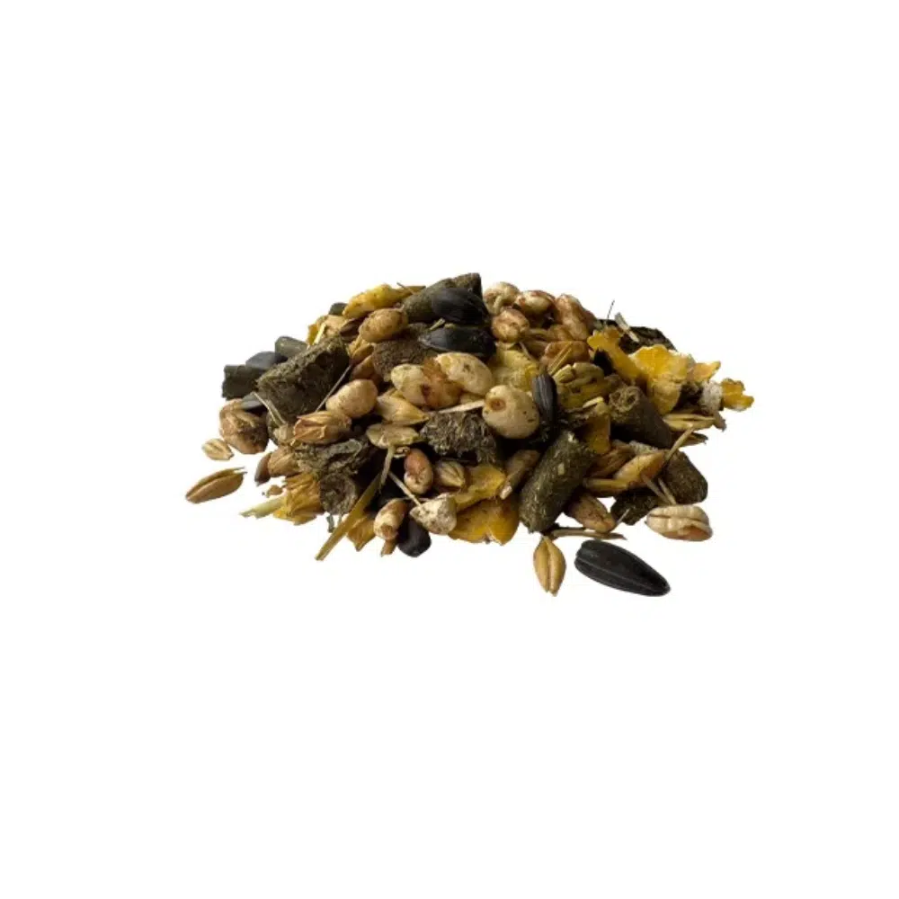 Pavo GutSecure | Stabilität & Balance für den Dickdarm – Bild 2