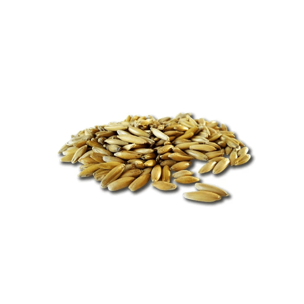 Pavo White Oats | Hochwertiger Weißhafer in Spitzenqualität – Bild 2