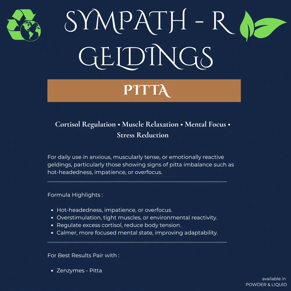 Neachai Sympath-R PITTA für Wallache - Afbeelding 2