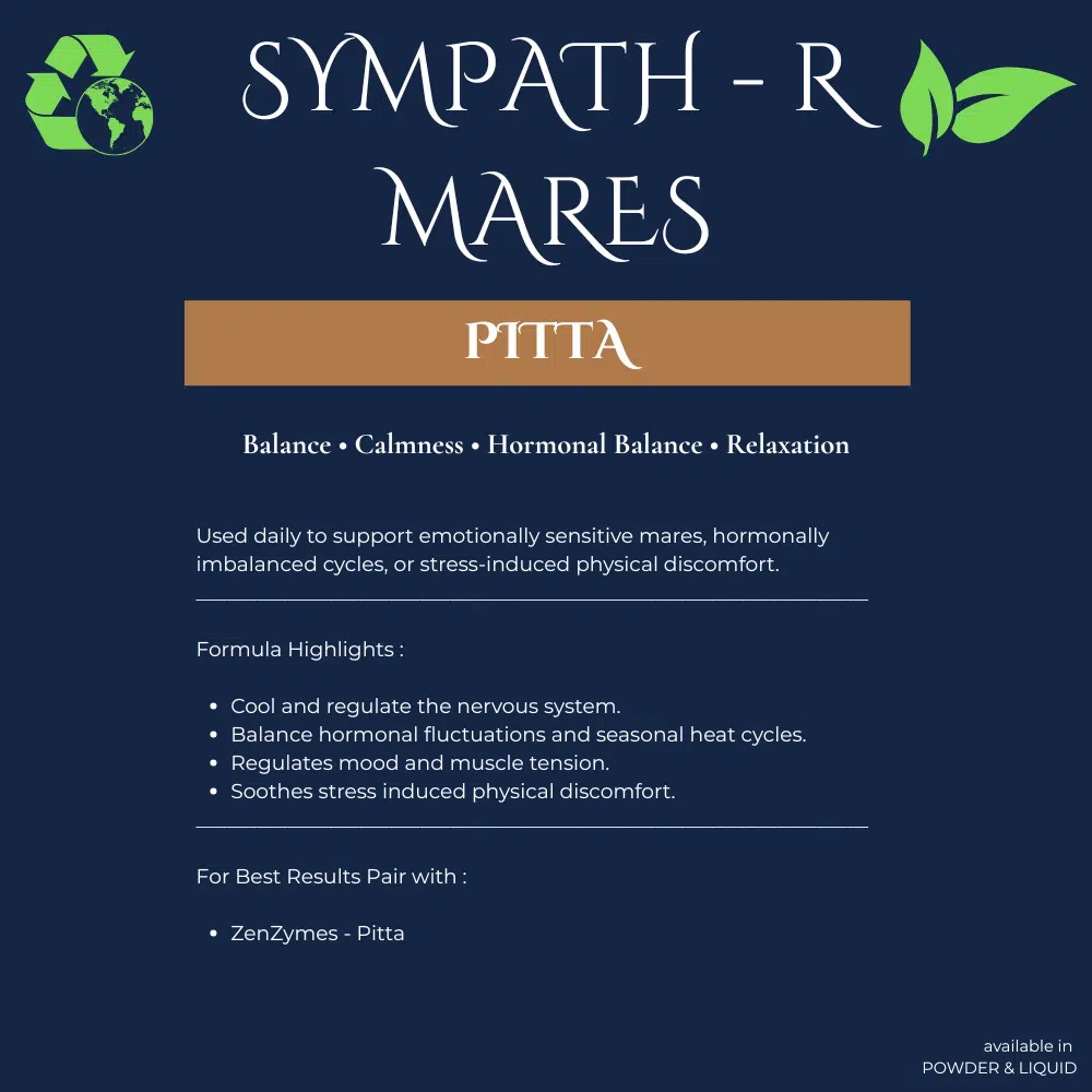 Neachai Sympath-R PITTA für Stuten - Afbeelding 2