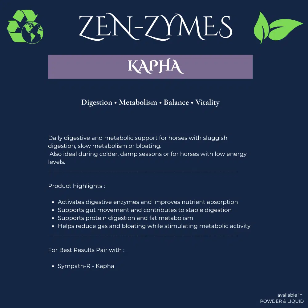 Neachai Zen-Zymes KAPHA - Afbeelding 2