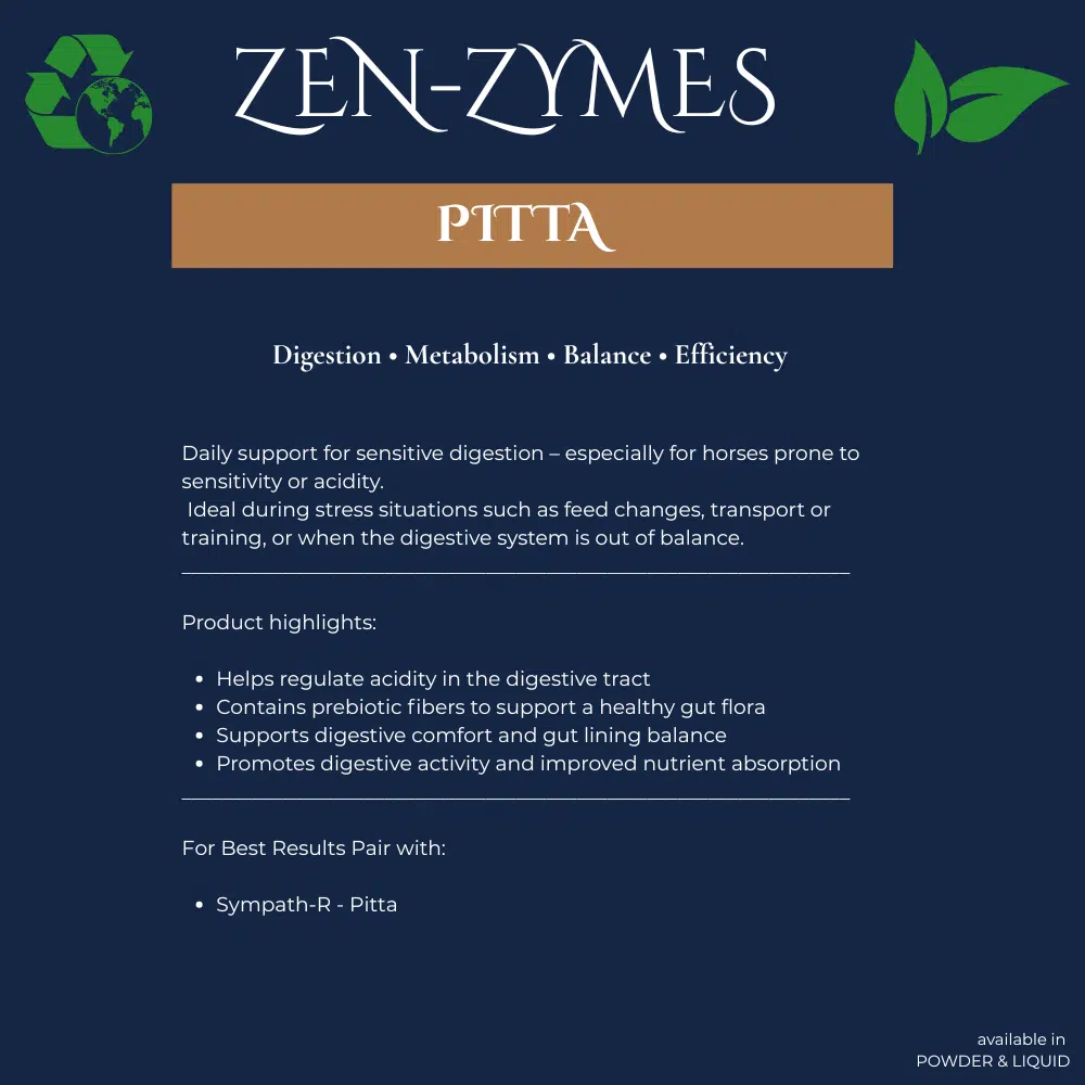 Neachai Zen-Zymes PITTA - Image 2