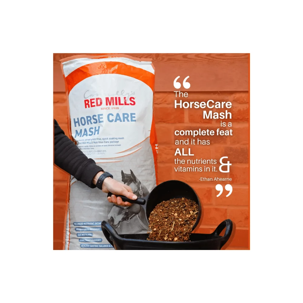 RED MILLS Horse Care MASH – Bild 2