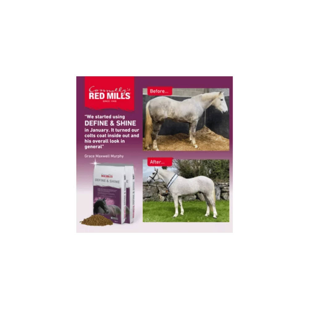 RED MILLS Define & Shine – Bild 3